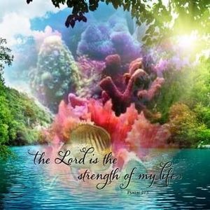 Meet your Posher, Denise